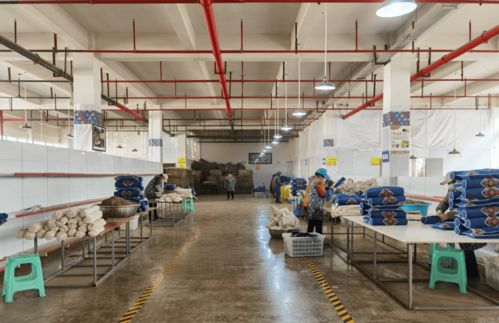 綏陽苗族藥枕借力互聯(lián)網(wǎng)，線上銷售火爆